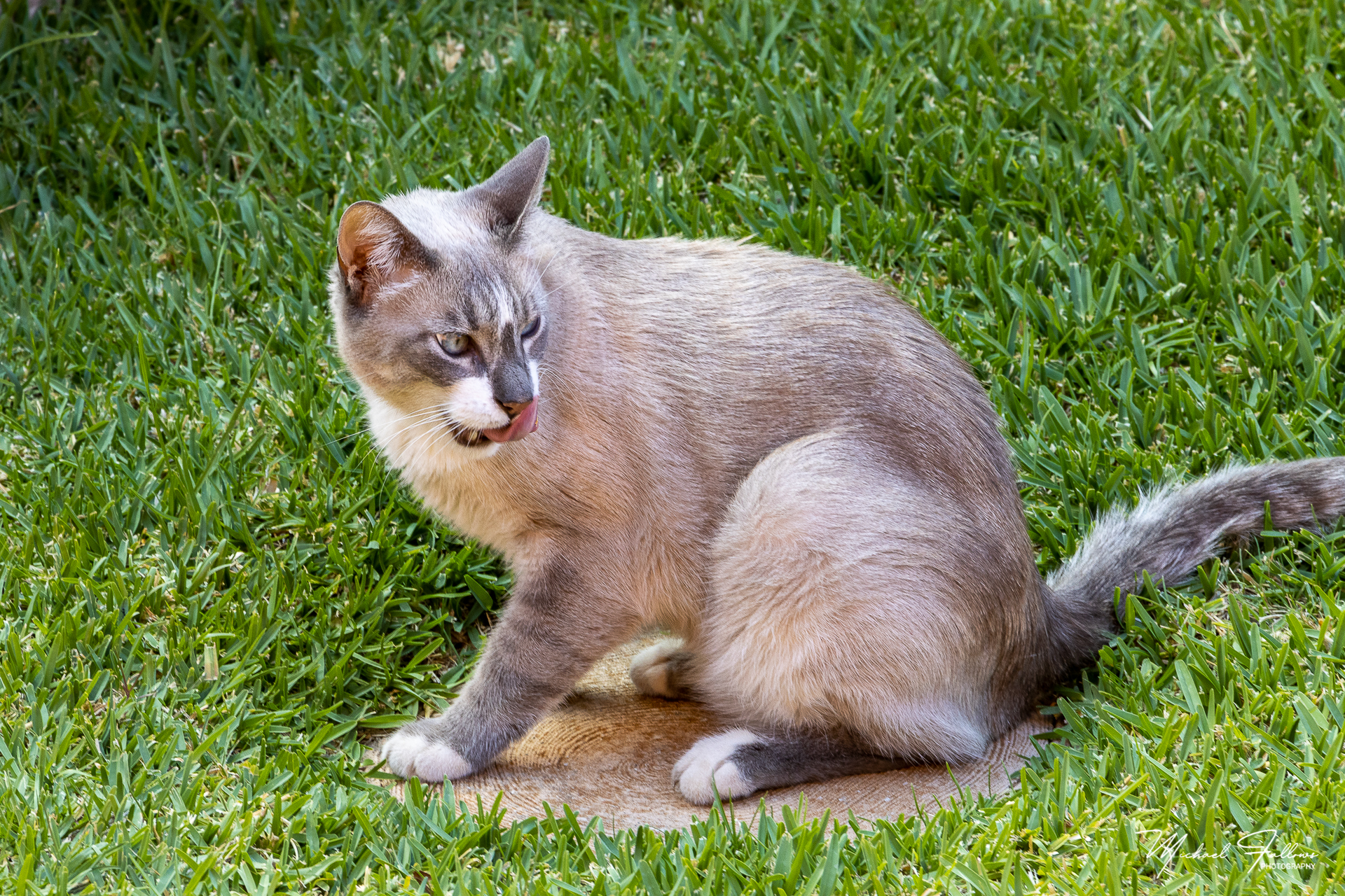 Photo of Animals - IMG_0168