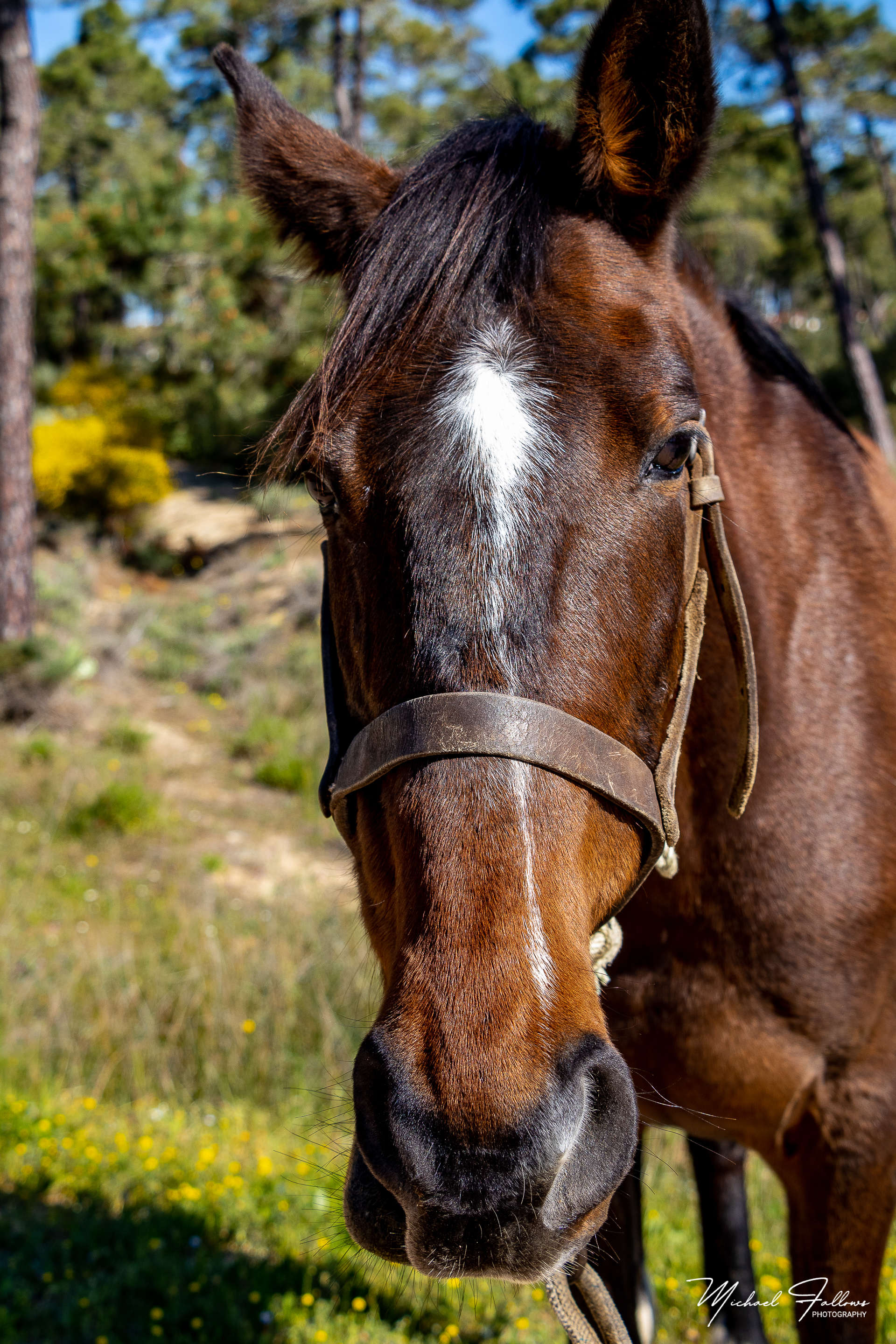 Photo of Animals - IMG_1776
