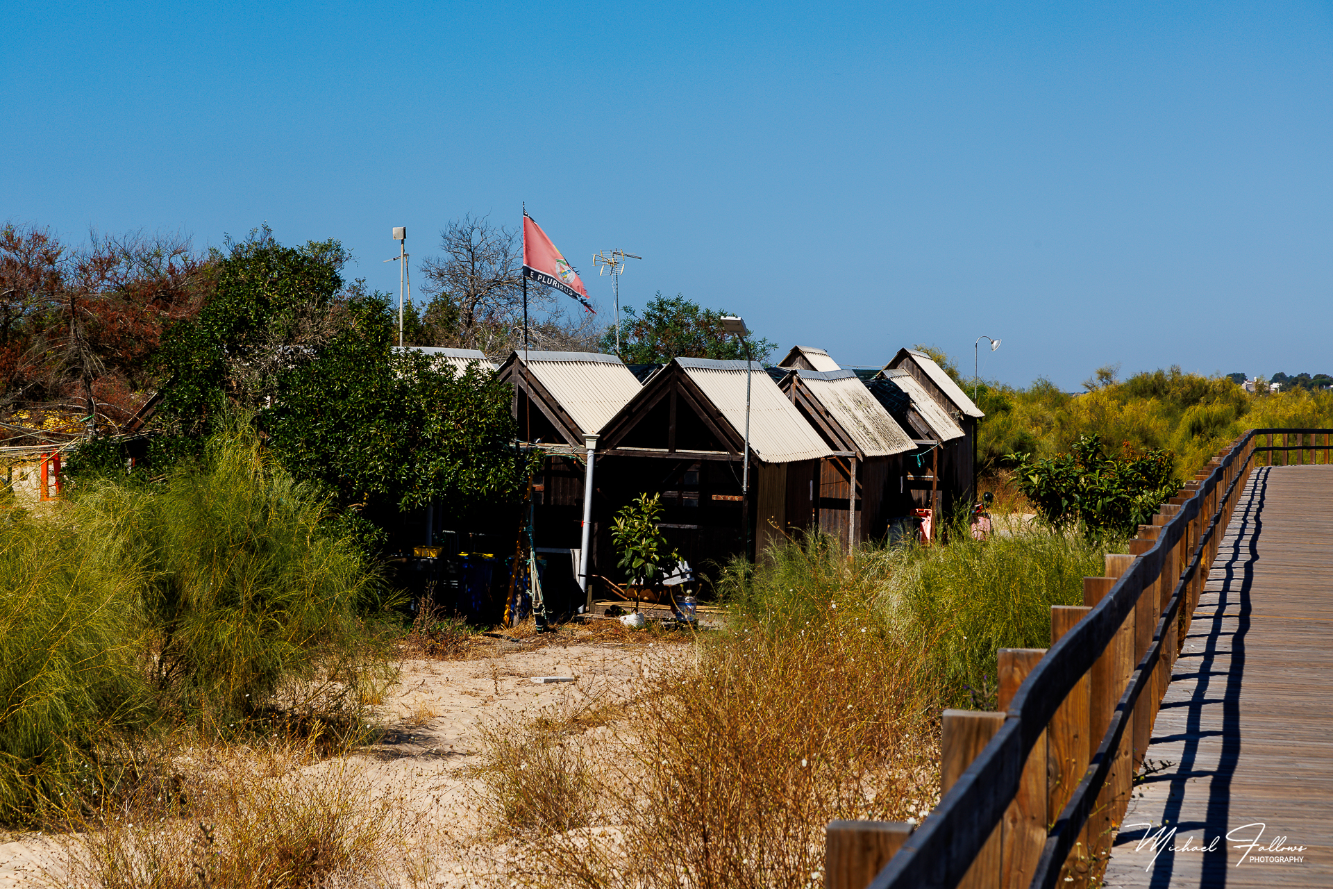 Photo of Beach Life - IMG_0082
