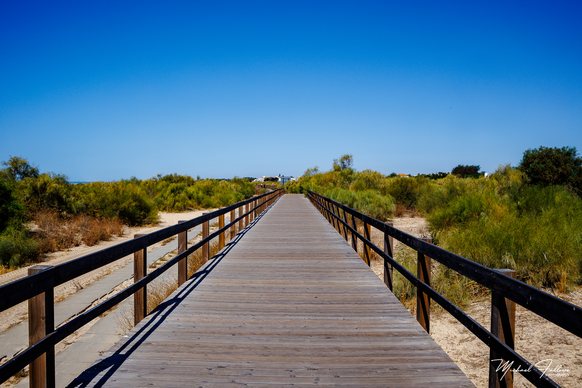 Photo of Beach Life - IMG_0094
