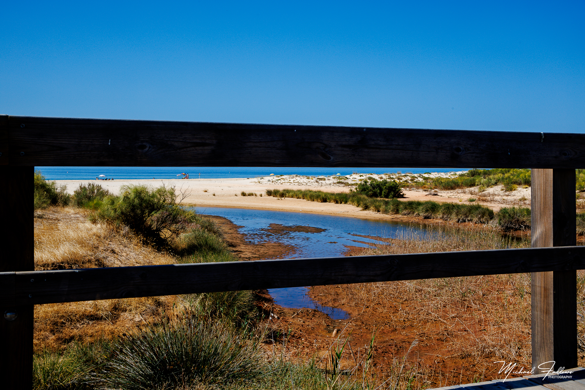 Photo of Beach Life - IMG_0108