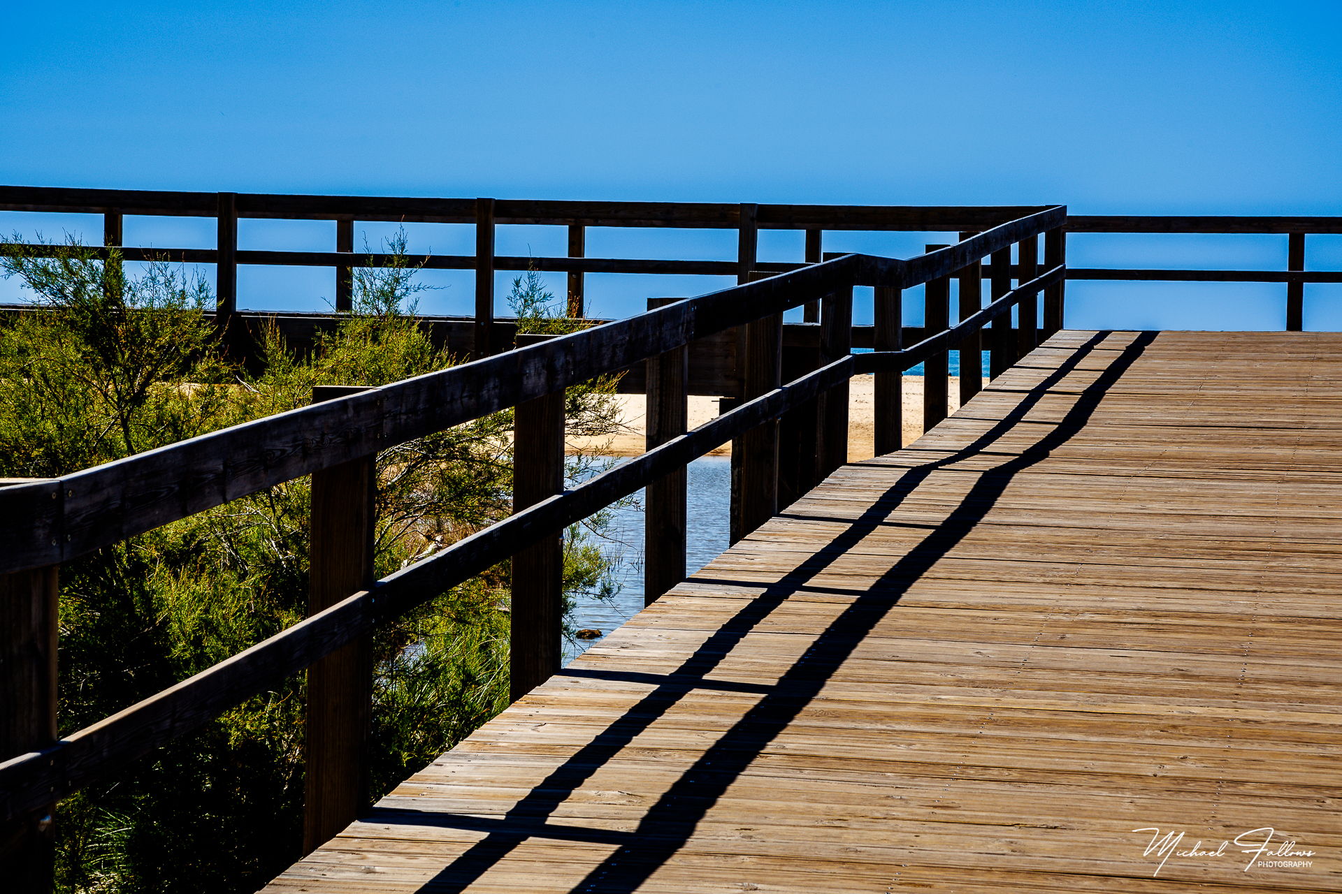 Photo of Beach Life - IMG_0134