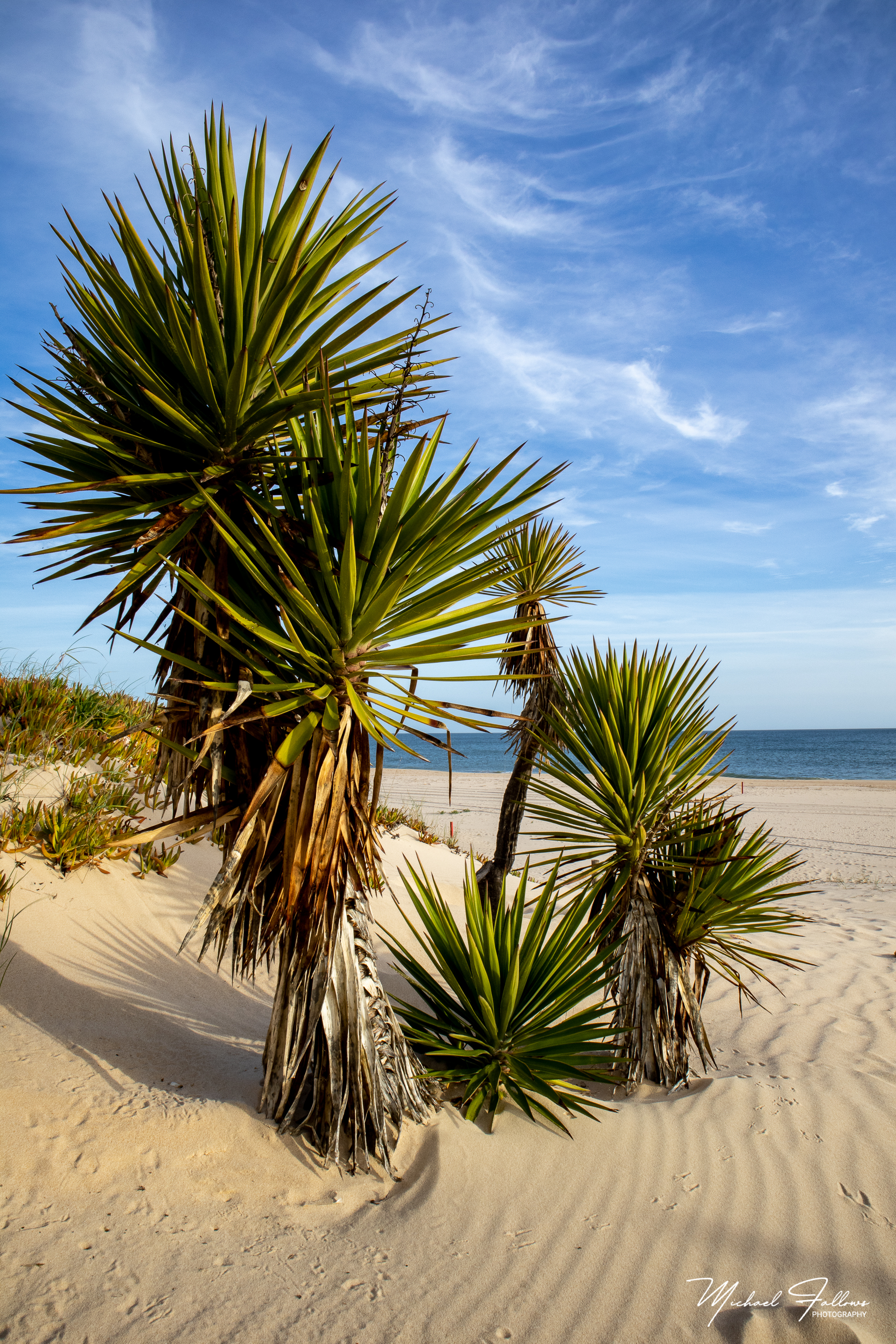 Photo of Beach Life - IMG_1320