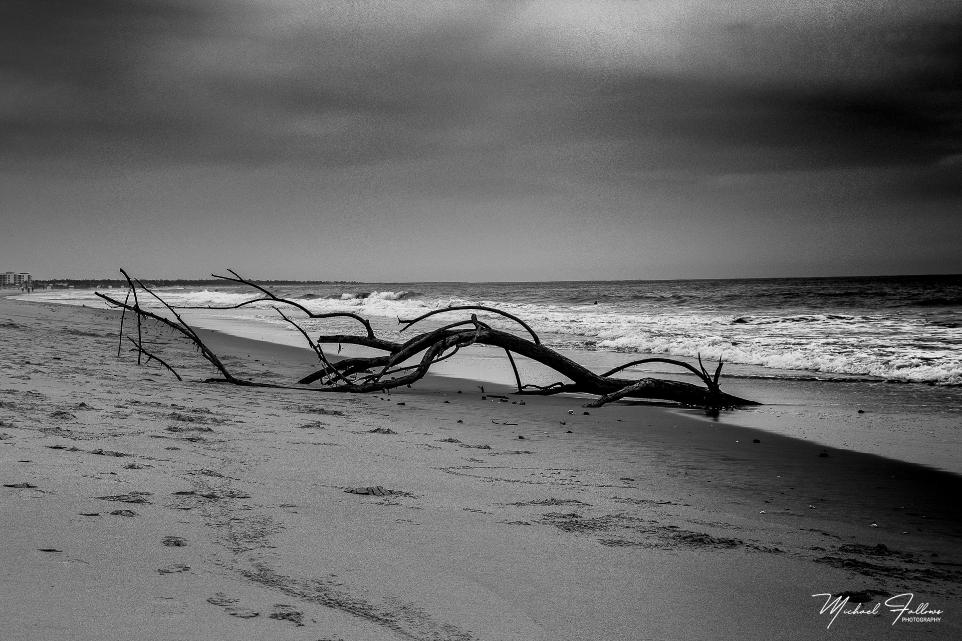 Photo of Beach Life - IMG_1554