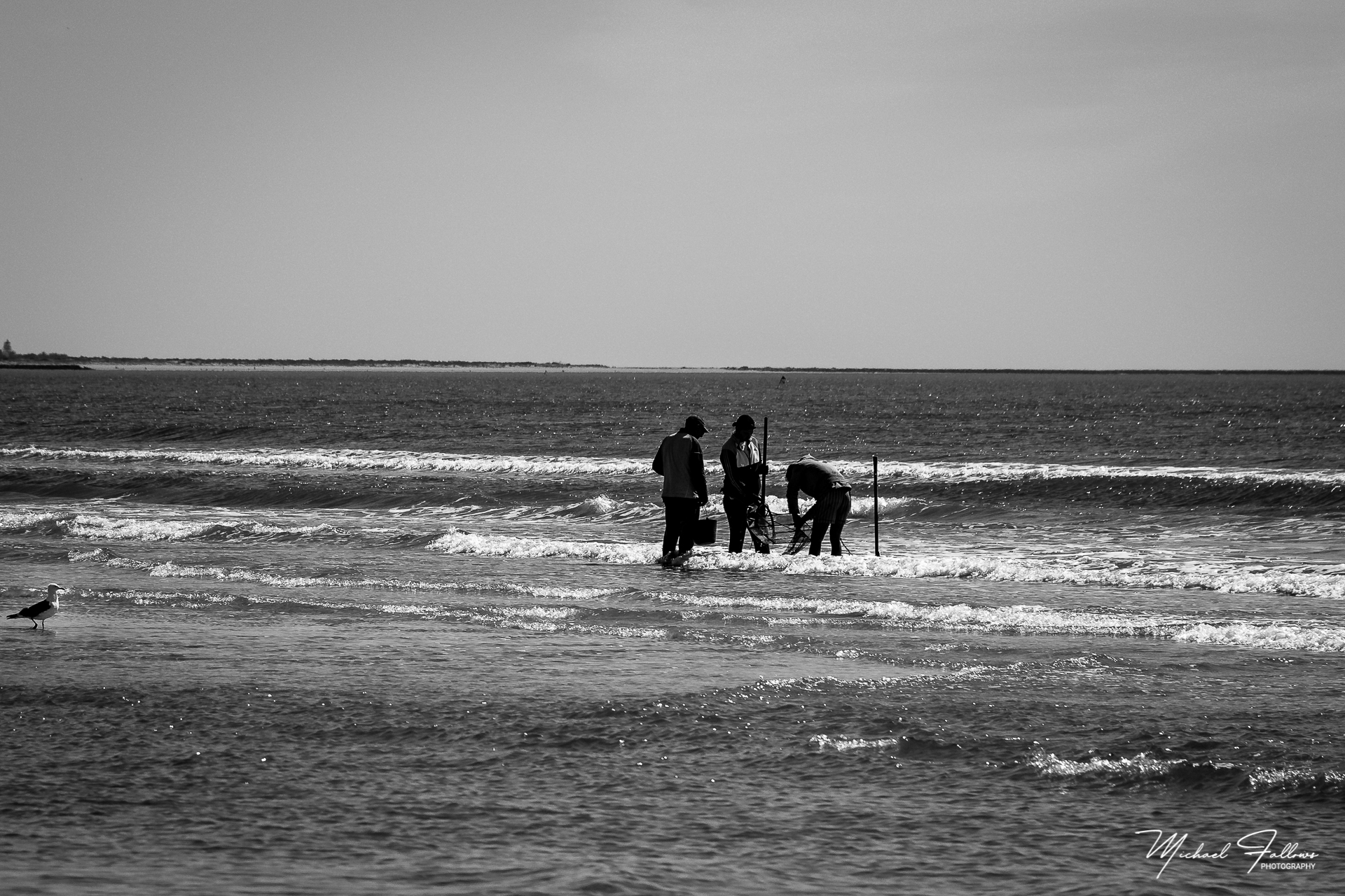 Photo of Beach Life - IMG_1784