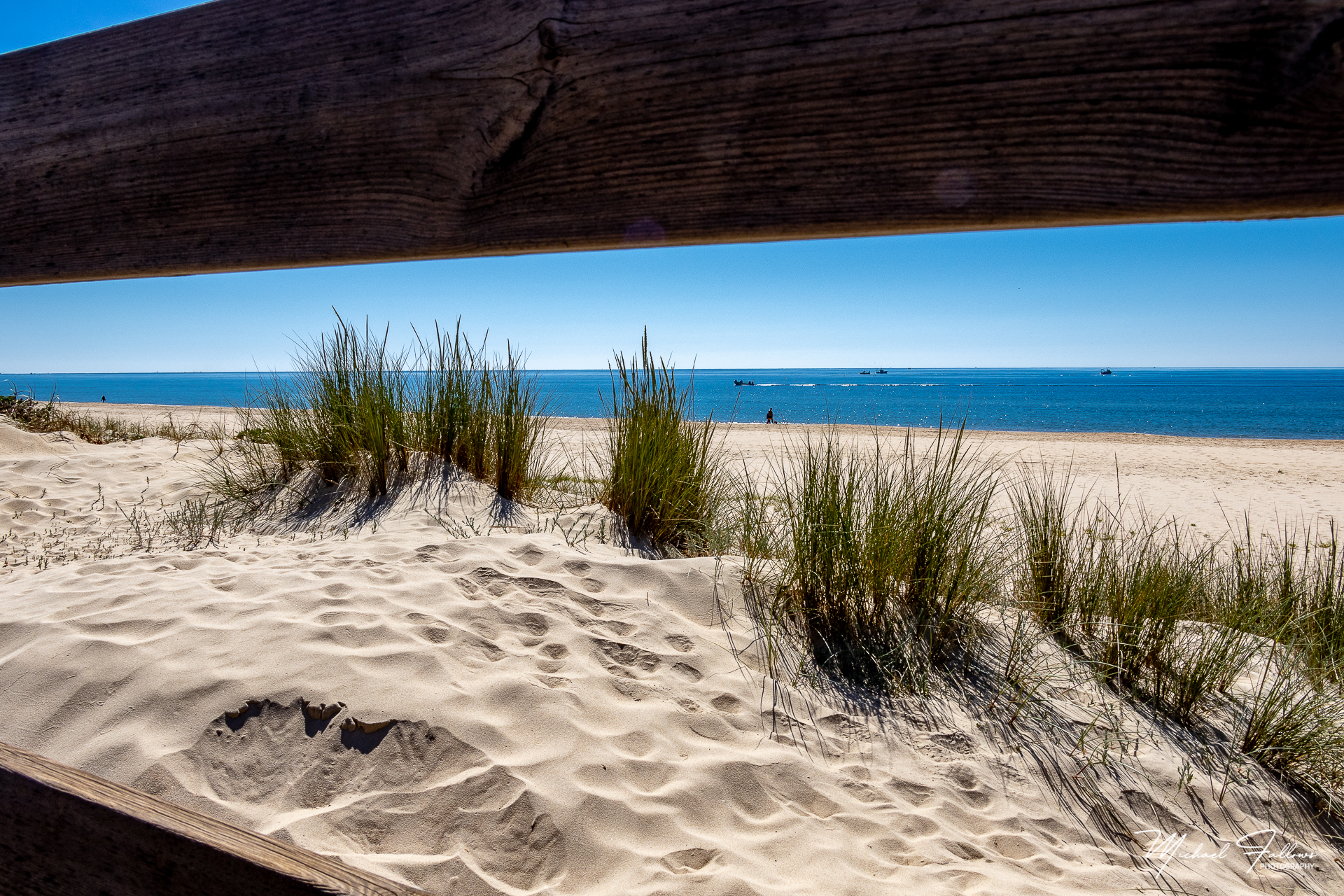 Photo of Beach Life - IMG_1805