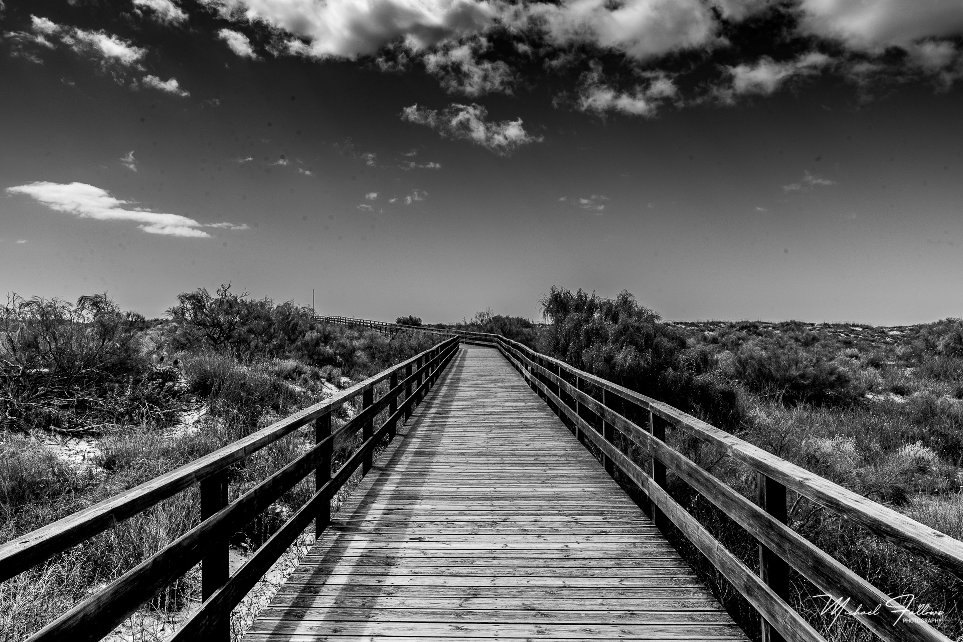 Photo of Beach Life - L71A3365
