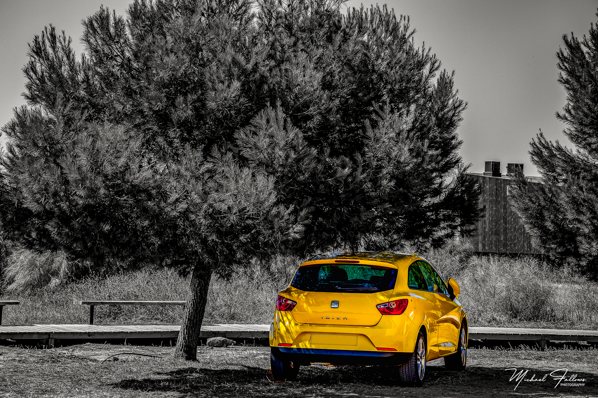 Photo of Black And White With Colour - IMG_0232-Edit-Edit