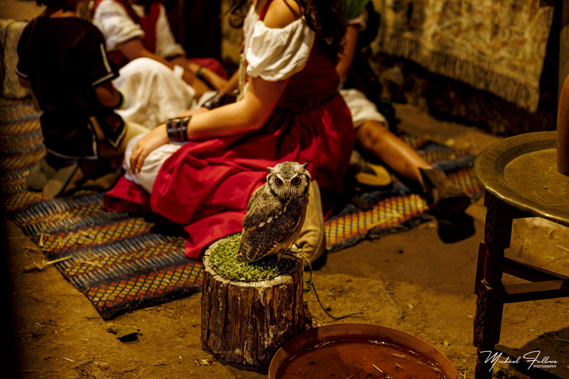 Photo of Medieval Days - IMG_1139