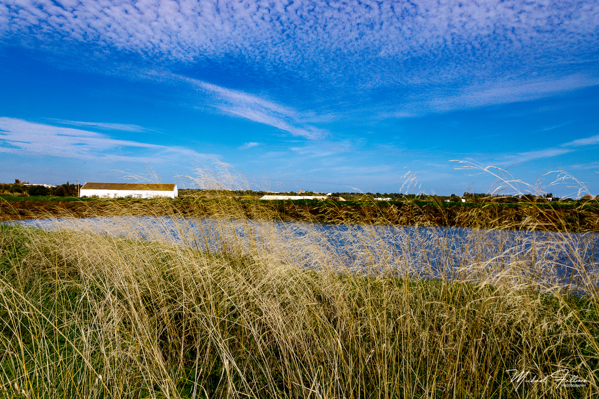 Photo of Walking And Nature - L71A2073