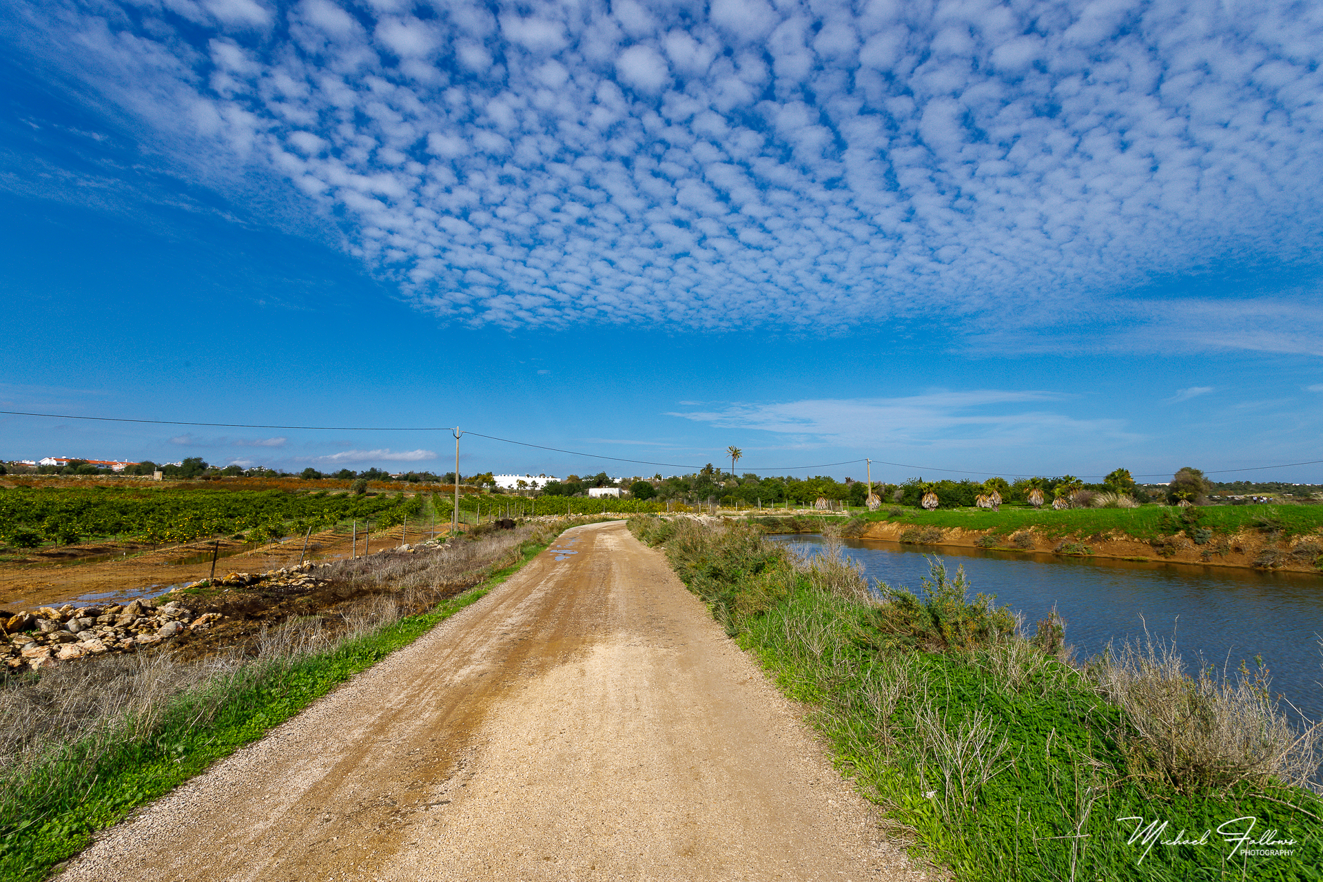 Photo of Walking And Nature - L71A2081