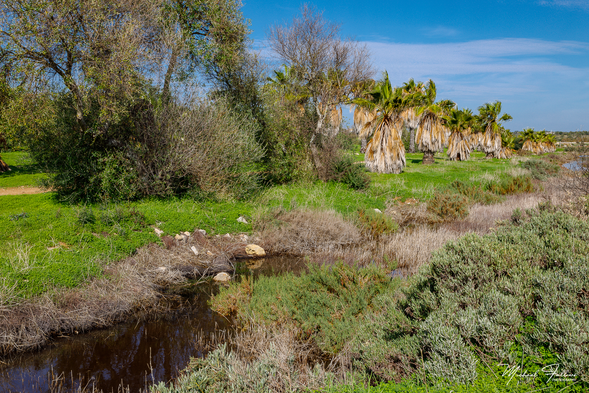 Photo of Walking And Nature - L71A2091