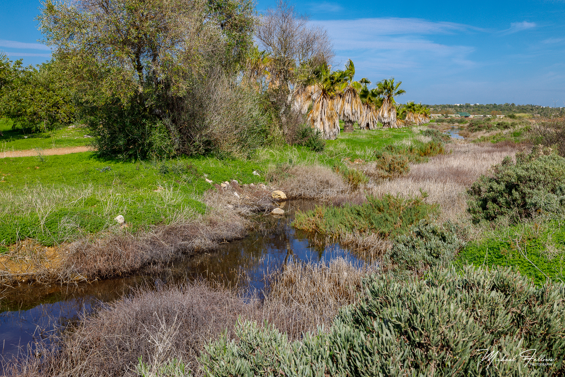 Photo of Walking And Nature - L71A2096