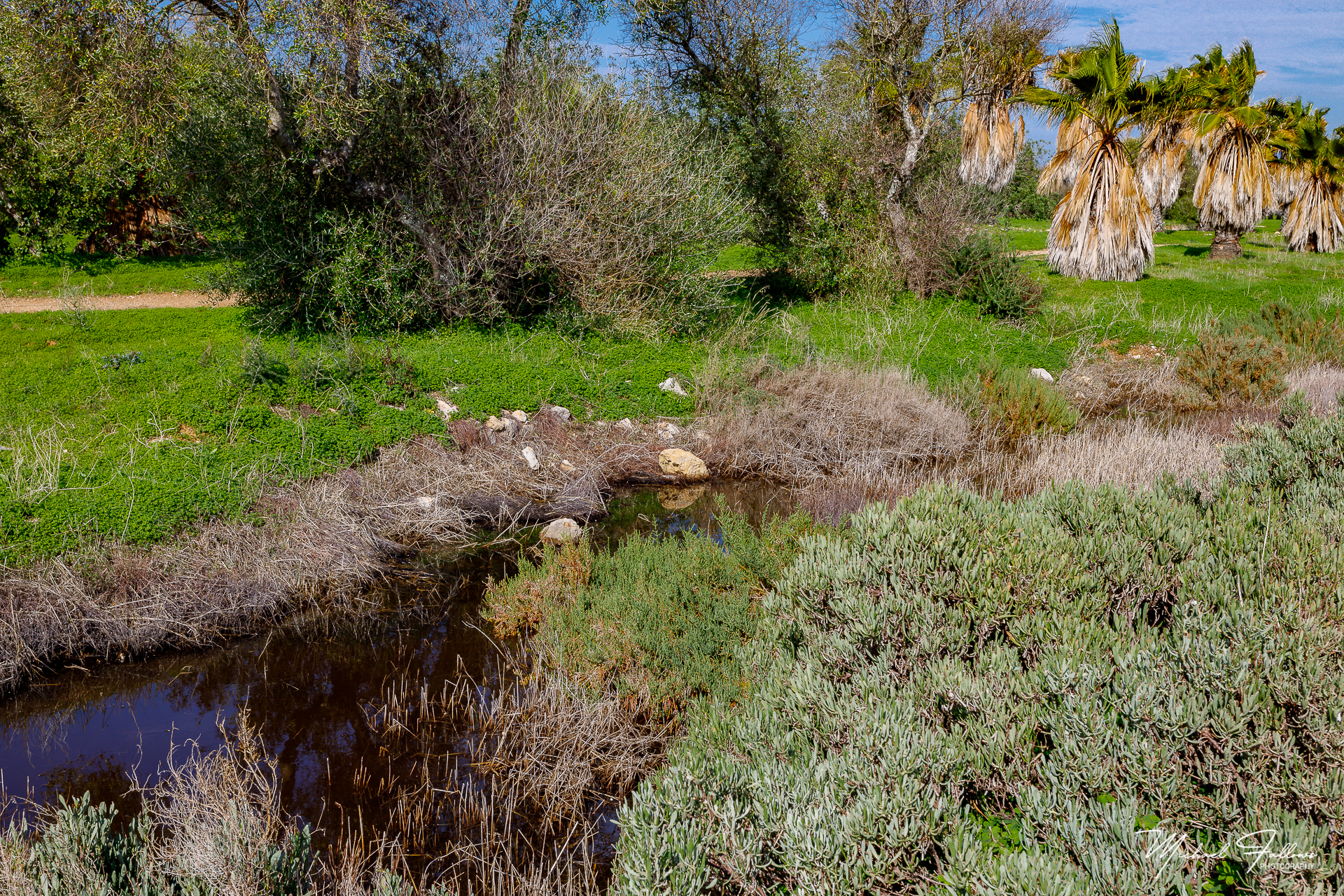 Photo of Walking And Nature - L71A2097