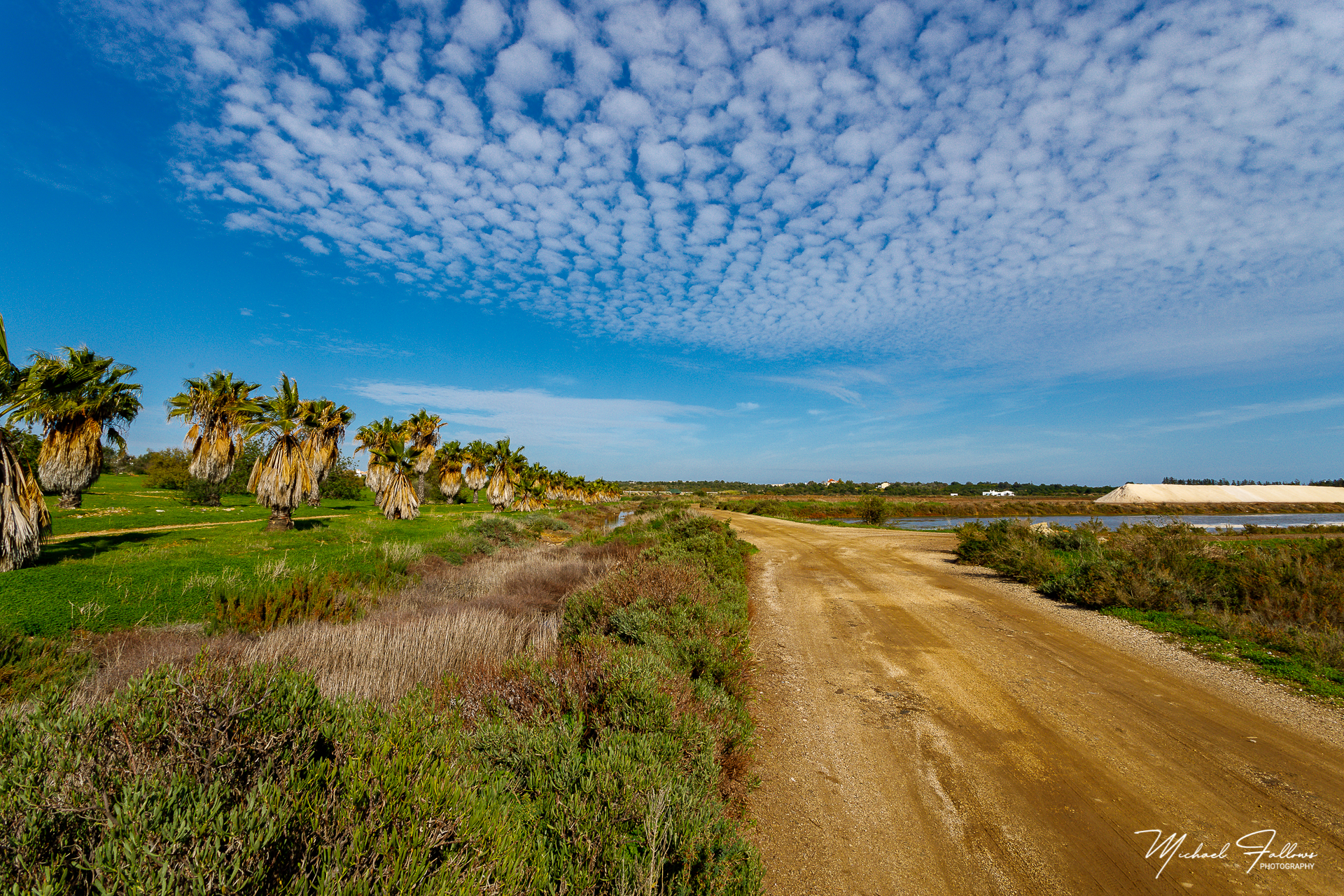 Photo of Walking And Nature - L71A2105