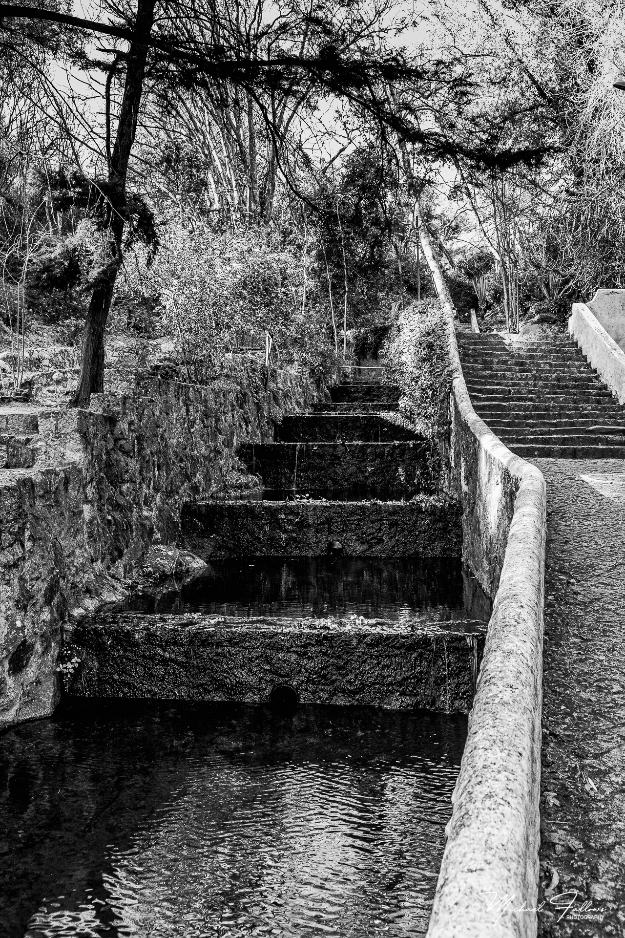 Photo of Walking And Nature - L71A6270-Edit