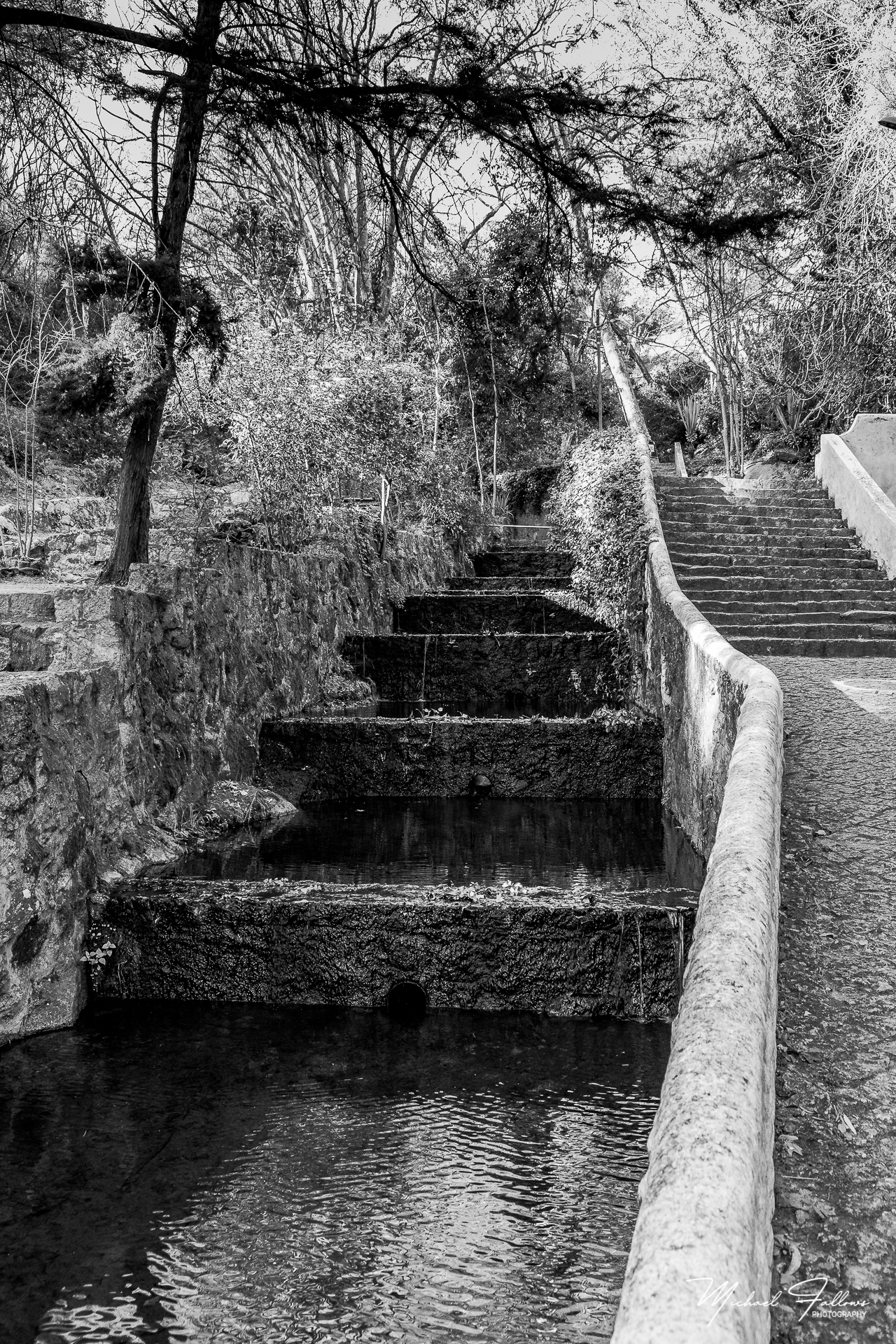 Photo of Walking And Nature - L71A6270