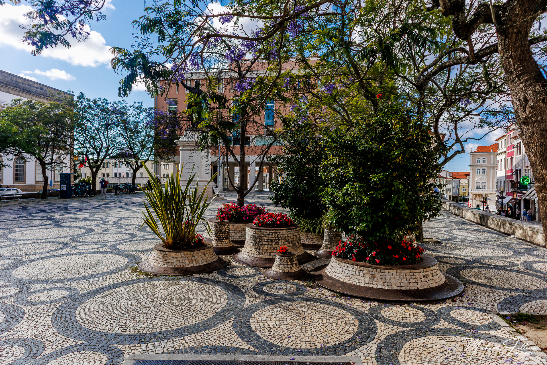 Photo of Aveiro - IMG_4661