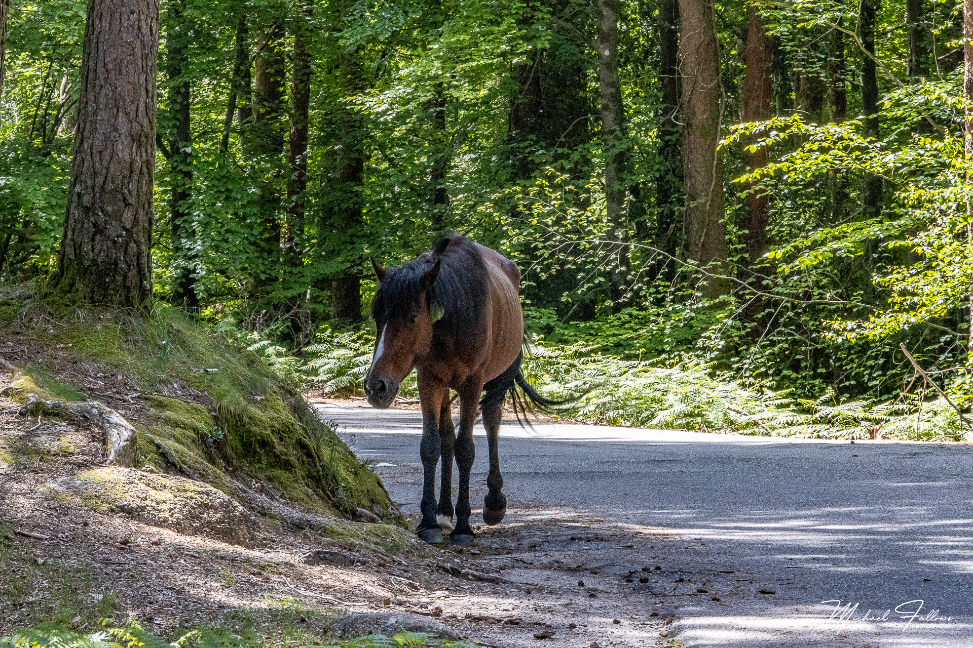 Photo of Geres - IMG_5633