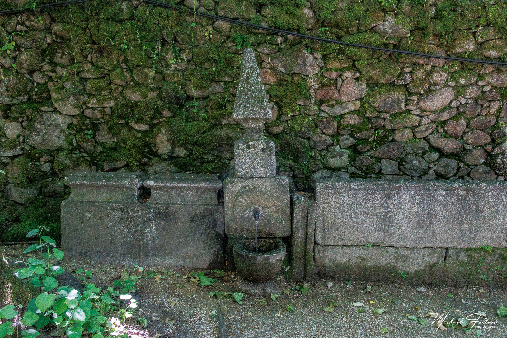 Photo of Geres - IMG_5799