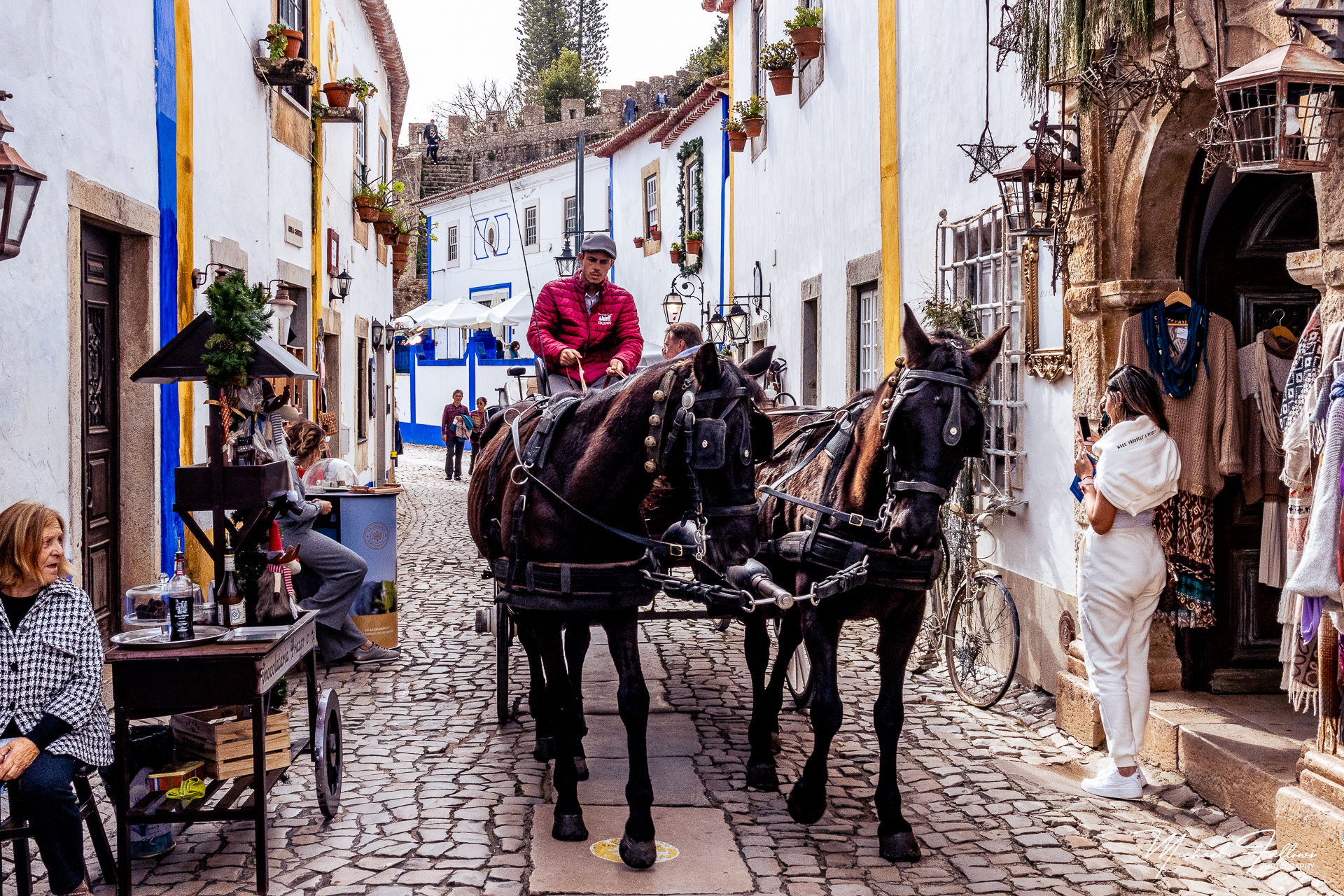 Photo of Obidos - IMG_2947