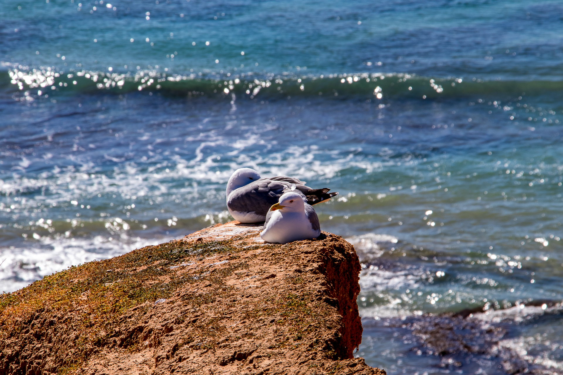 Photo of Praia Da Rocha - IMG_0500
