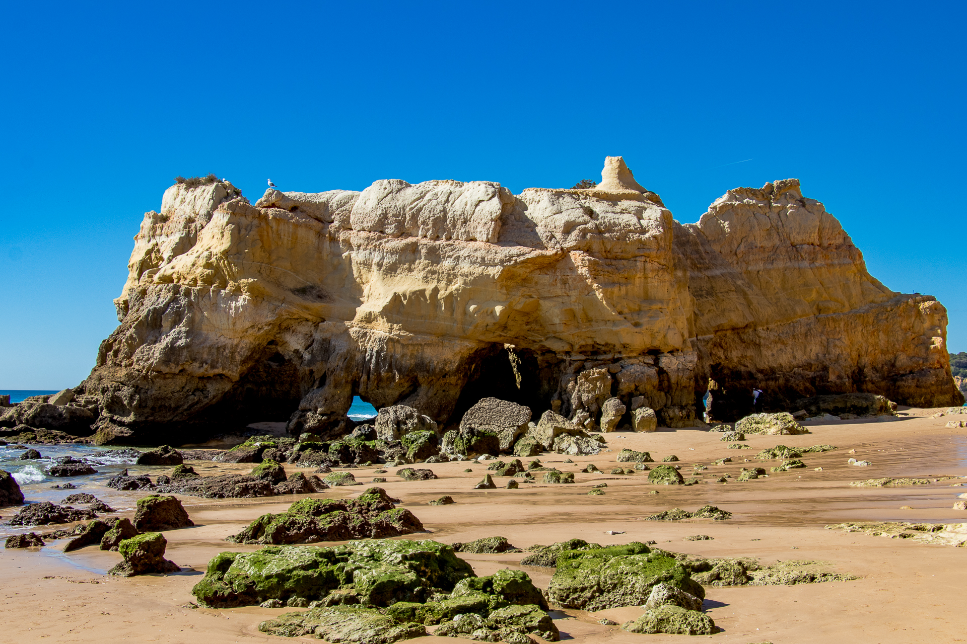 Photo of Praia Da Rocha - IMG_0527