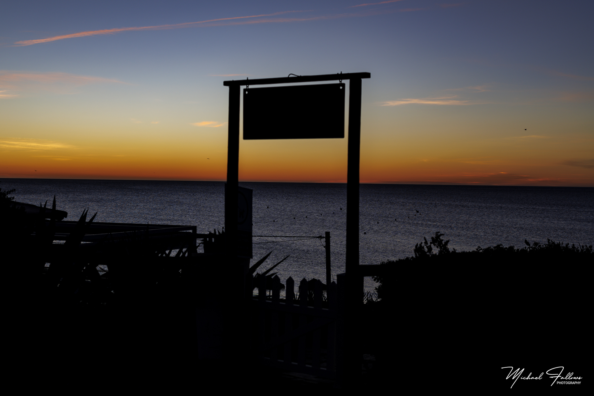 Photo of Sabinillias - IMG_1447