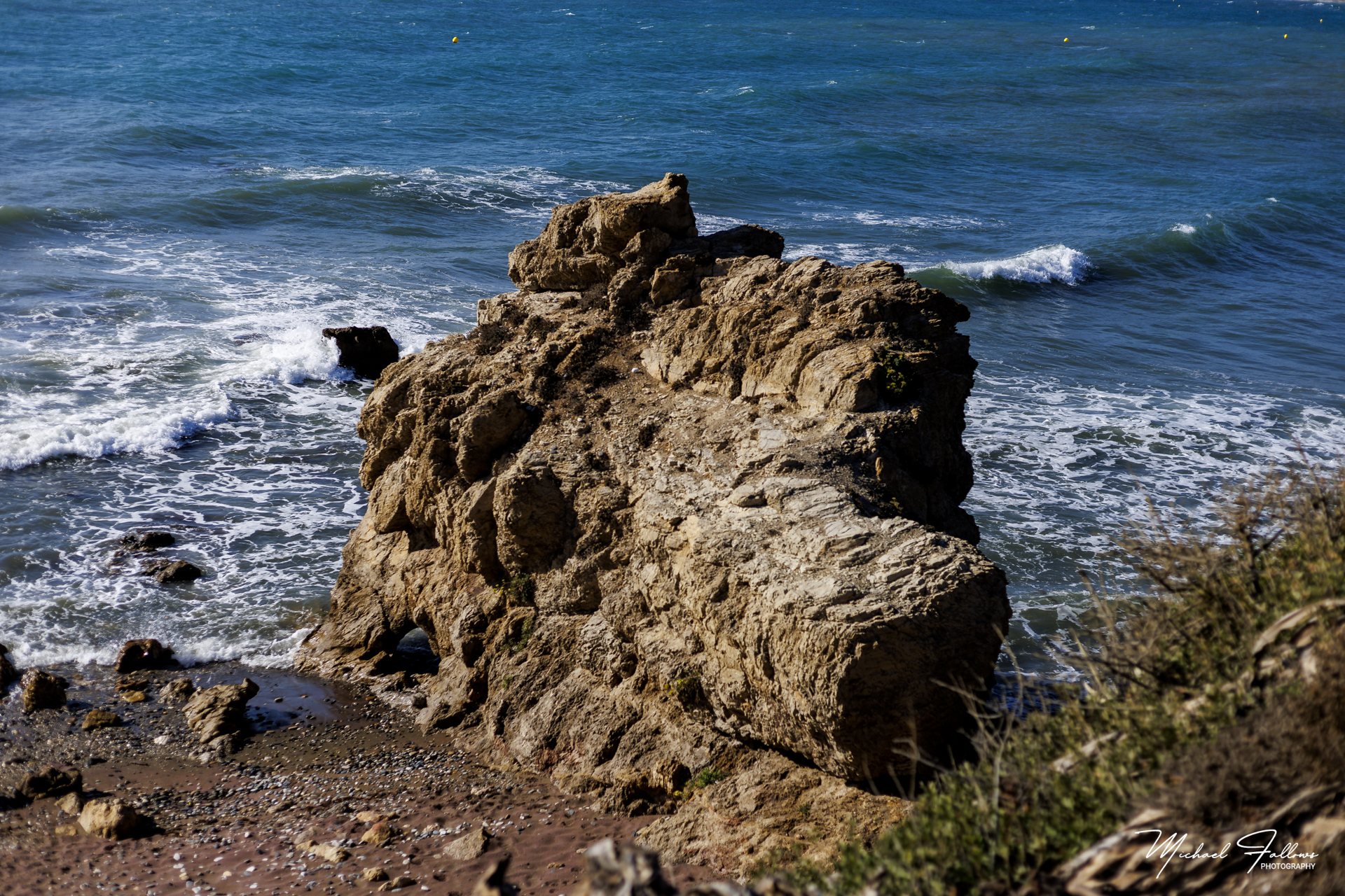 Photo of Sabinillias - IMG_1672
