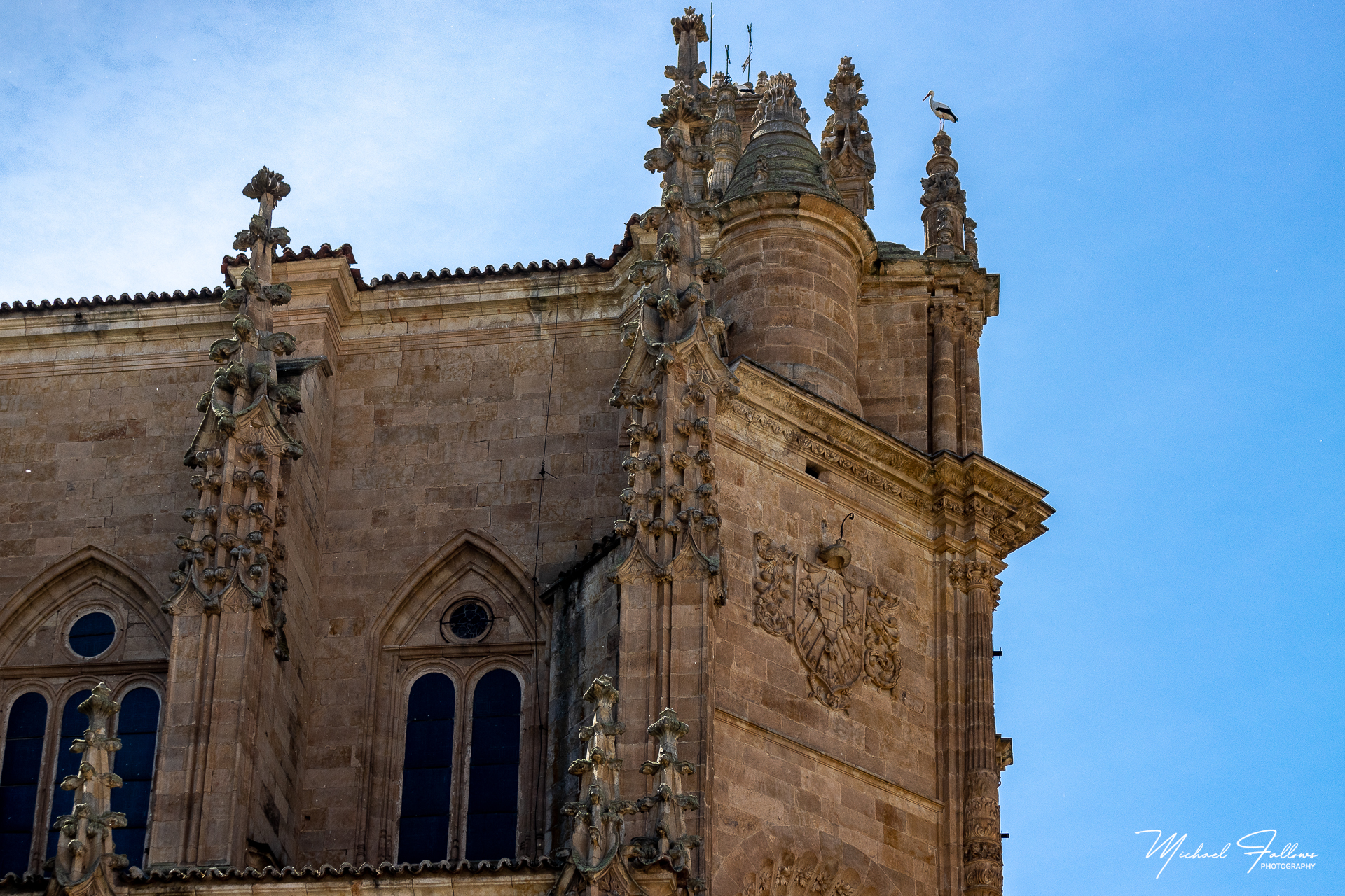 Photo of Salamanca - IMG_3338