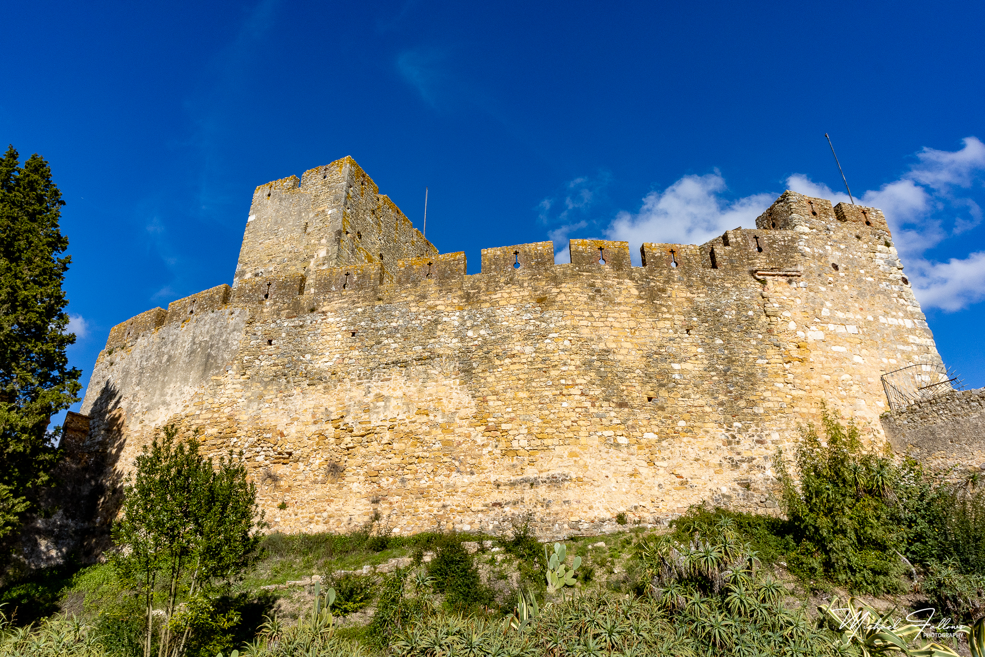 Photo of Tomar - IMG_2766