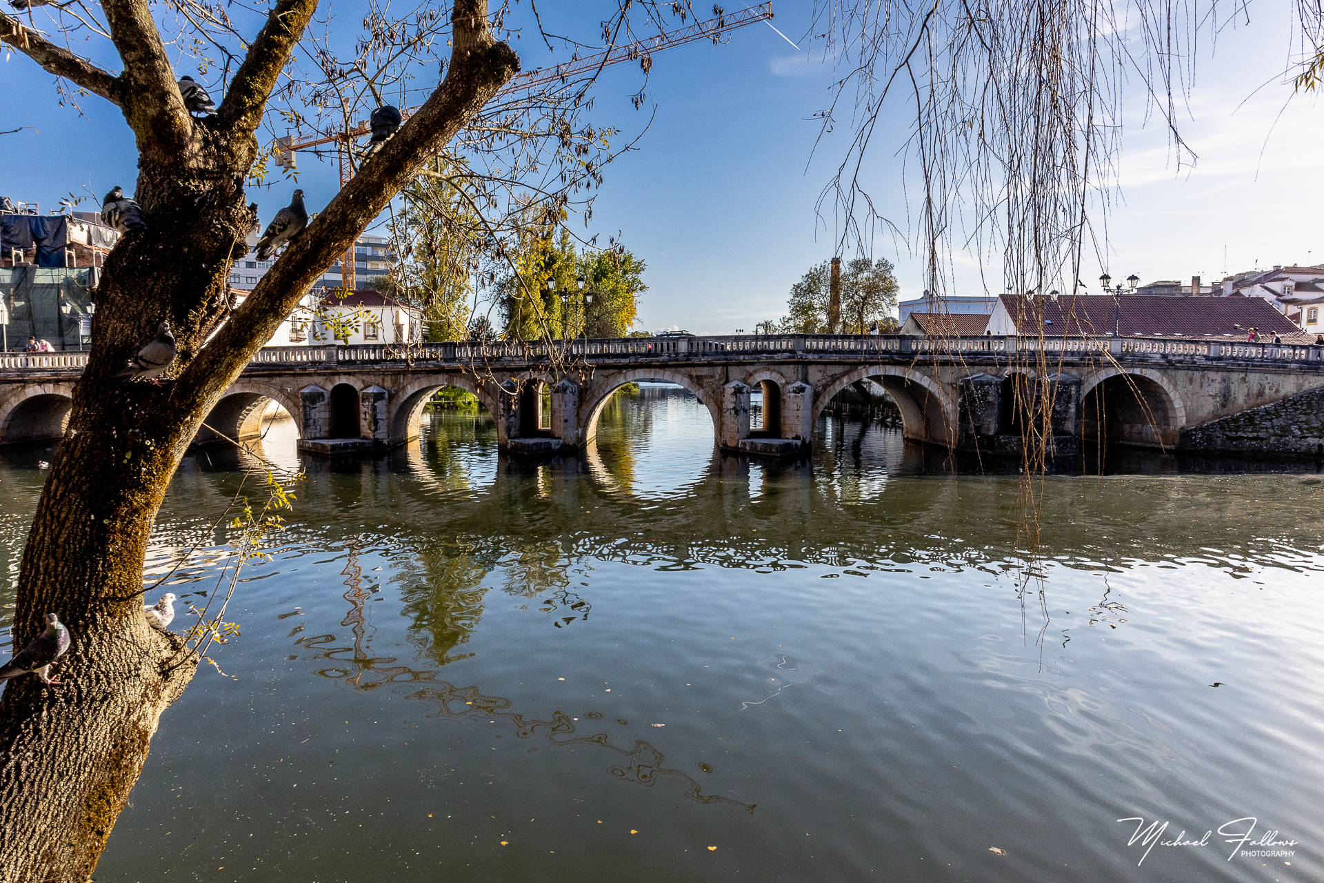 Photo of Tomar - IMG_2835