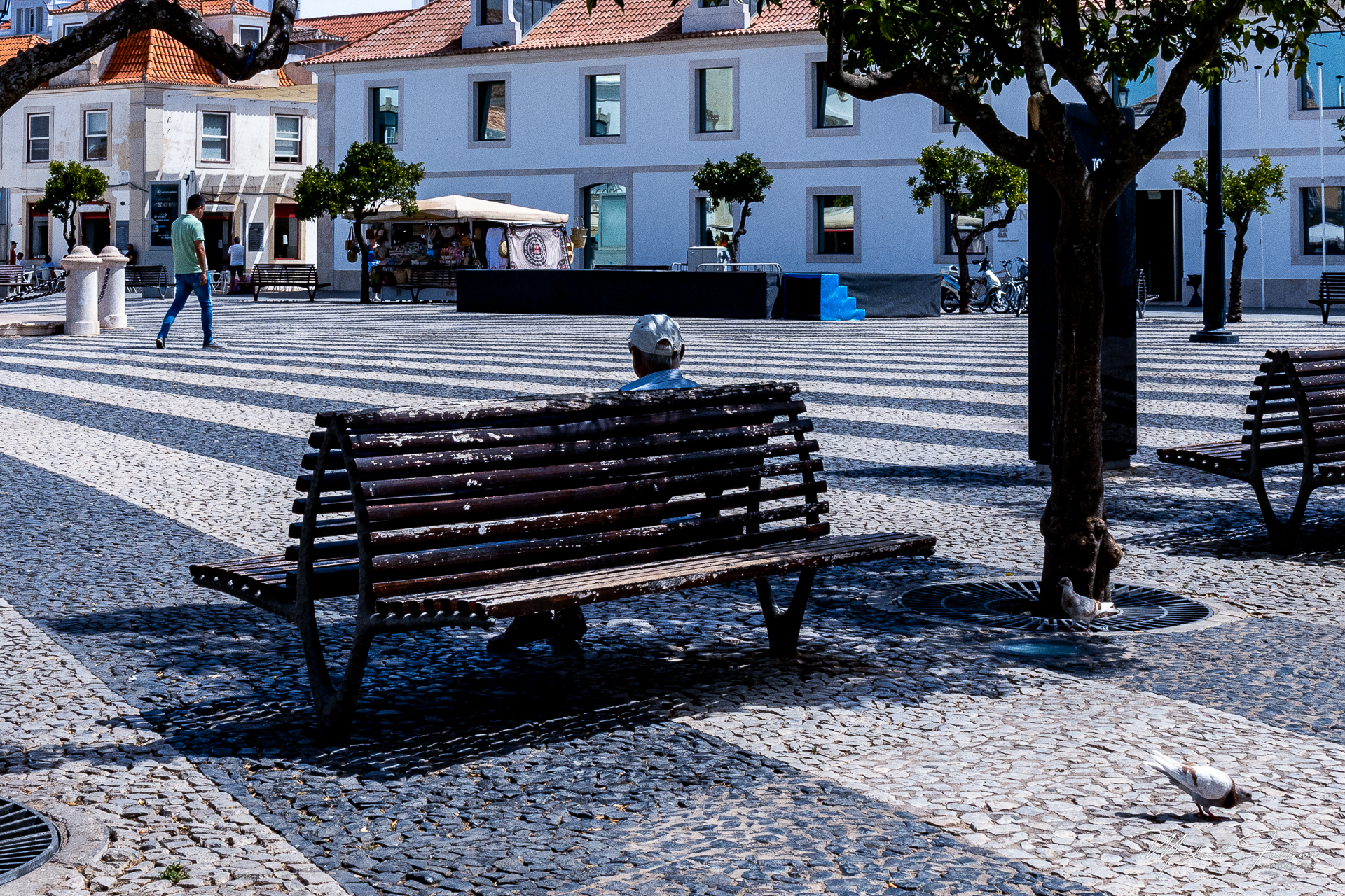 Photo of Vrsa - IMG_2186